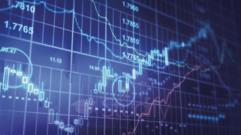 Wirtschaftswissenschaften
